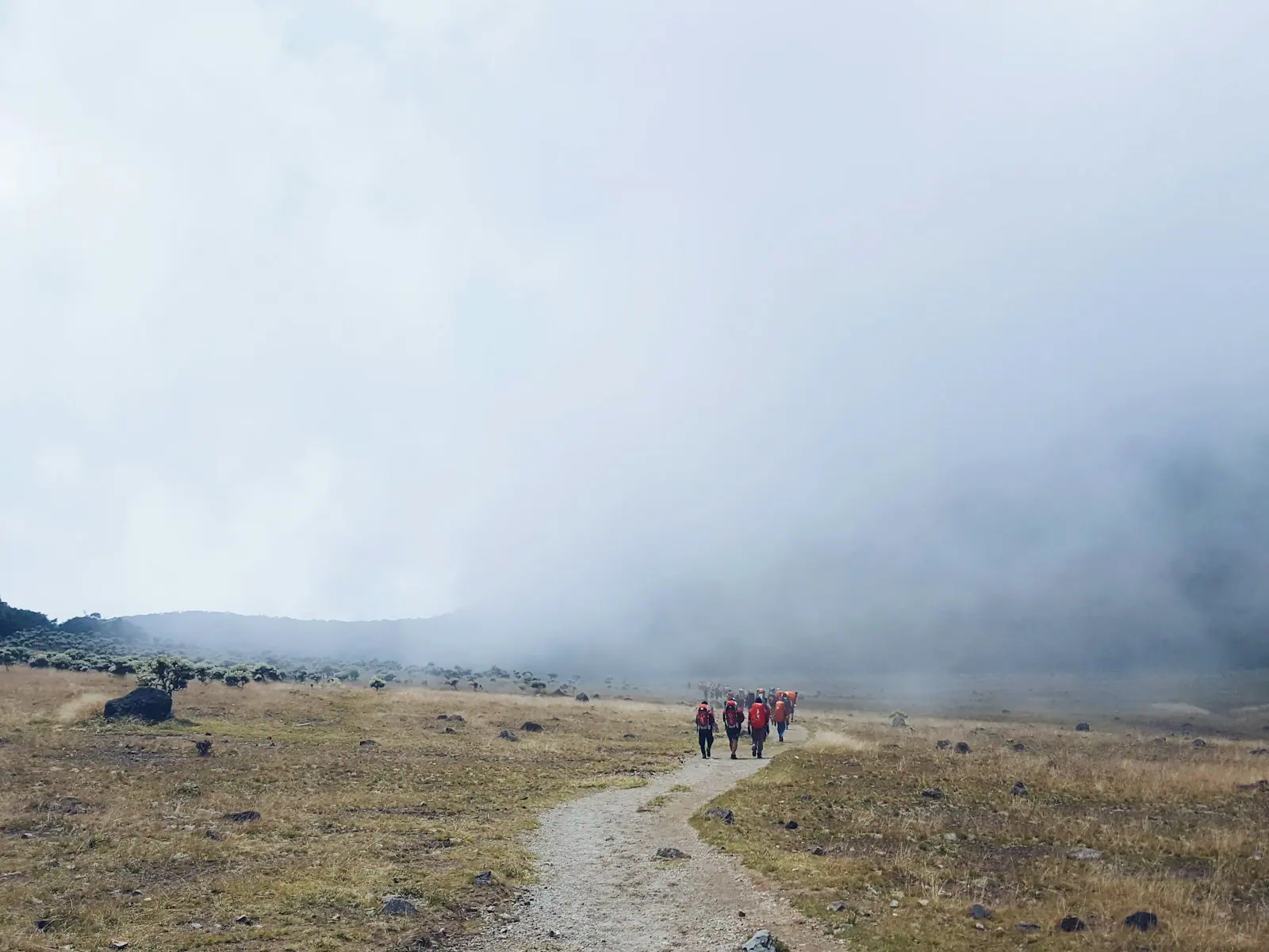A guided morning walk through mist