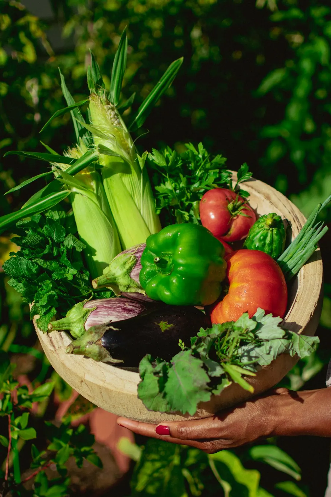 A basket of seasonal vegetables from the garden