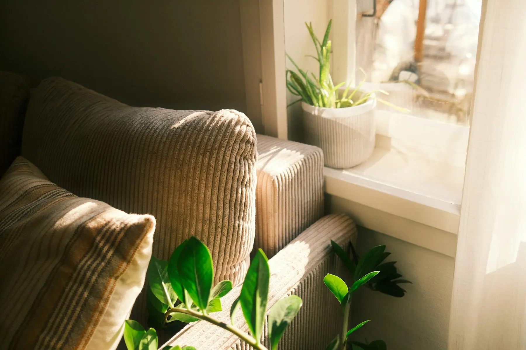 A meditation cushion in a quiet, minimally furnished room